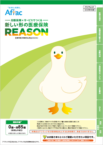新しい形の医療保険 REASON パンフレット REASONダック